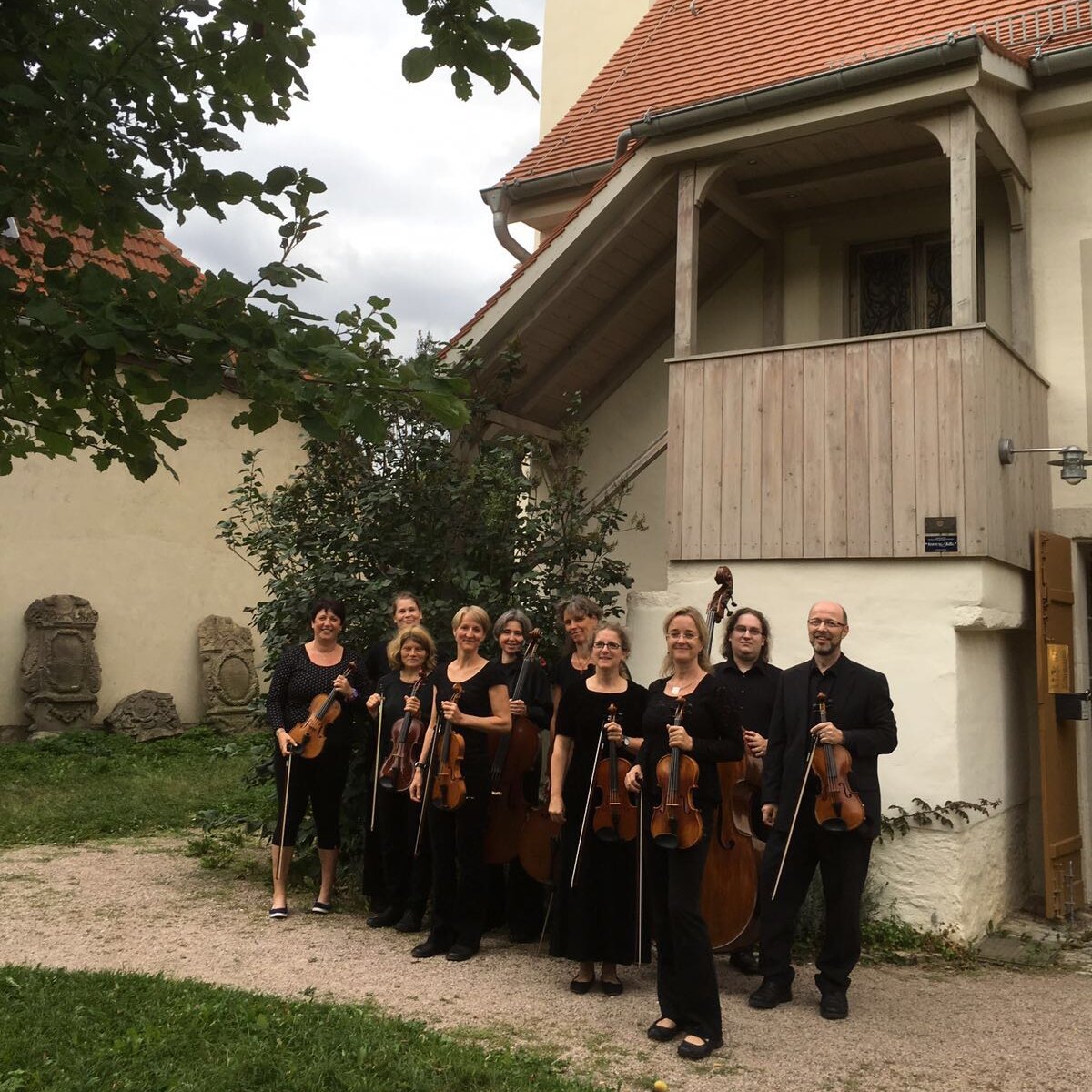 Streichorchester "Orchestre Amante" - Gruppenfoto im Grünen mit Instrumenten