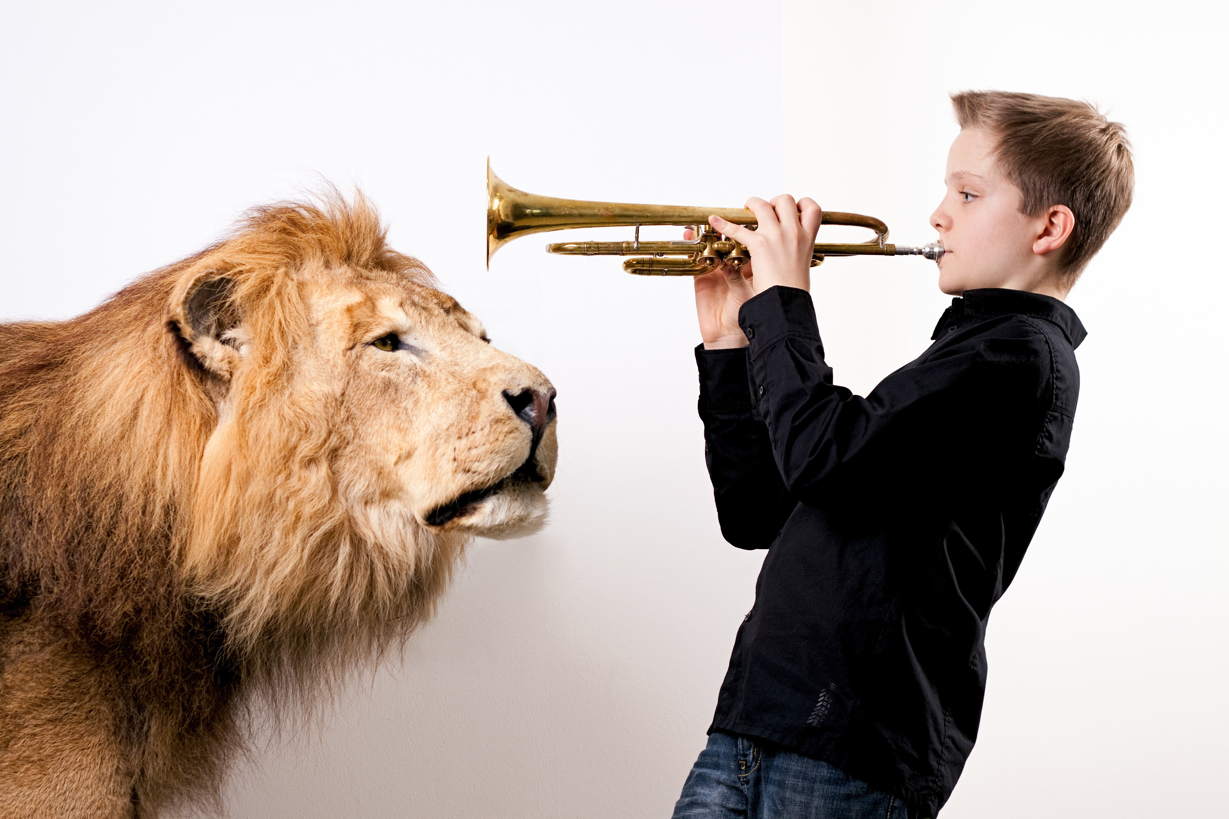 Junge mit Trompete vor einer Plakatwand mit einem lebensgroßen Löwen
