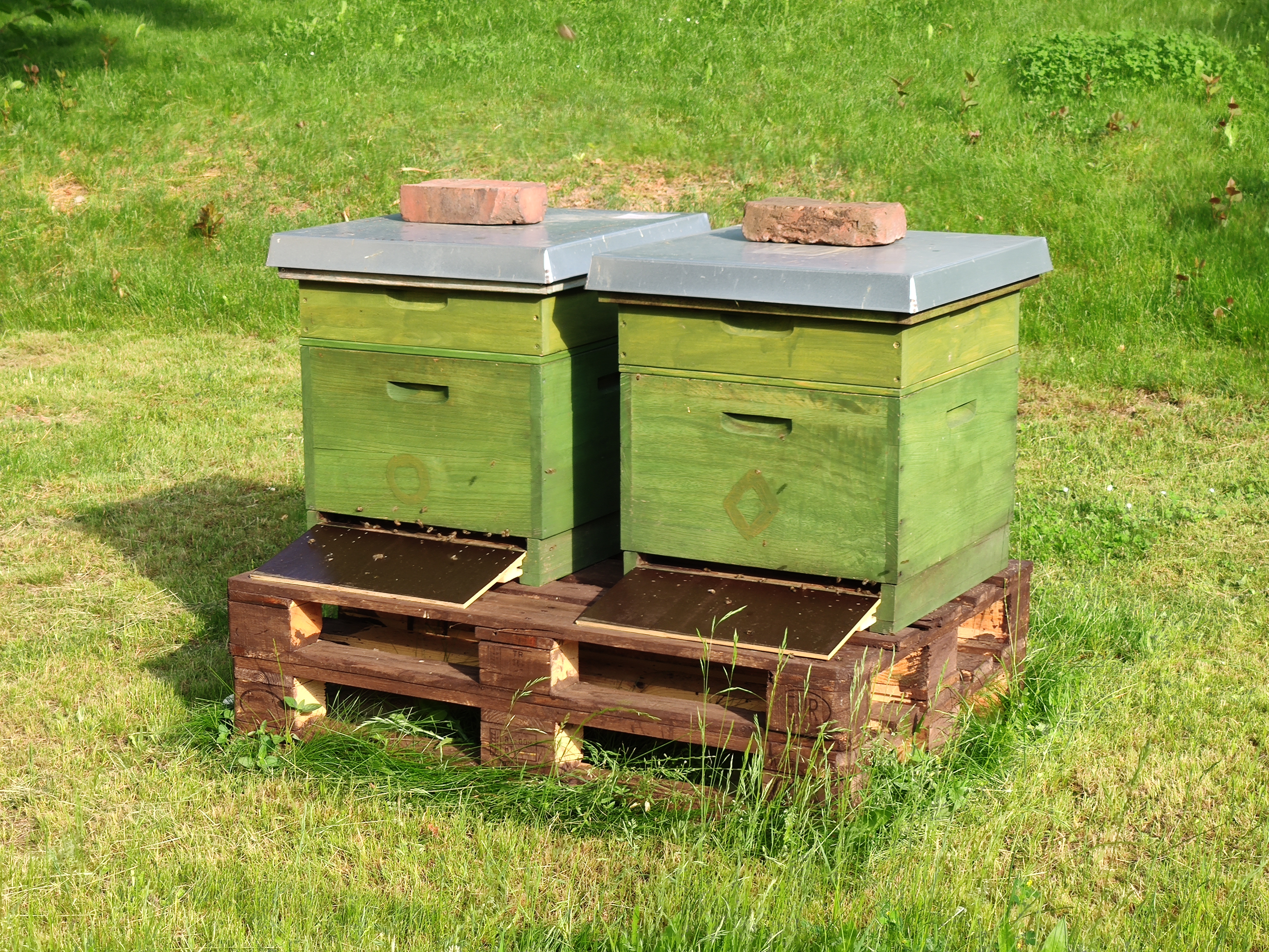 Zwei grüne Bienenkörbe 